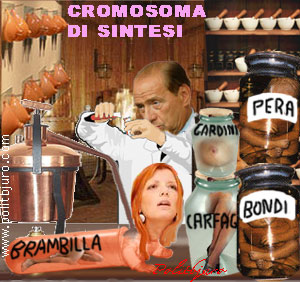 cromosoma di sintesi ad Arcore