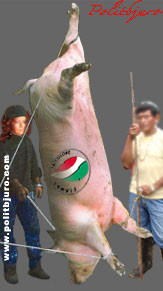 Andrea Miglioranzi Fiamma Tricolore